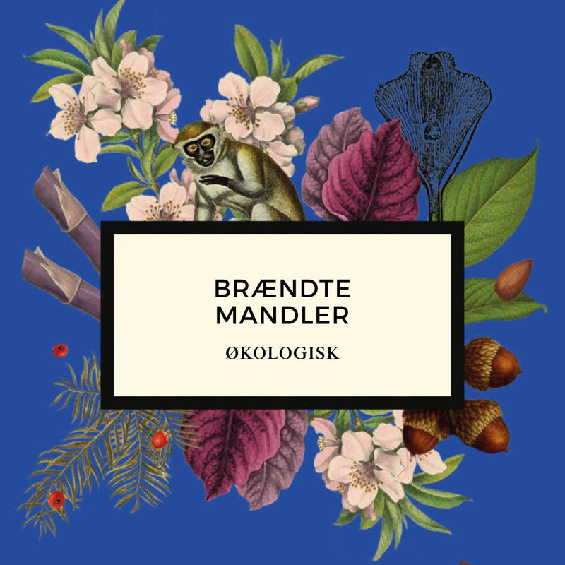 Brændte mandler, ØKO, 100 g